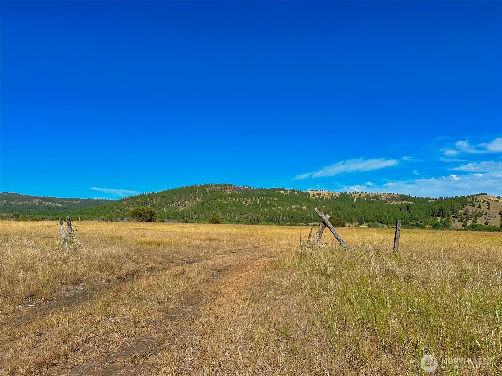 1111 Nna Hwy 155 Drive Property Photo 16