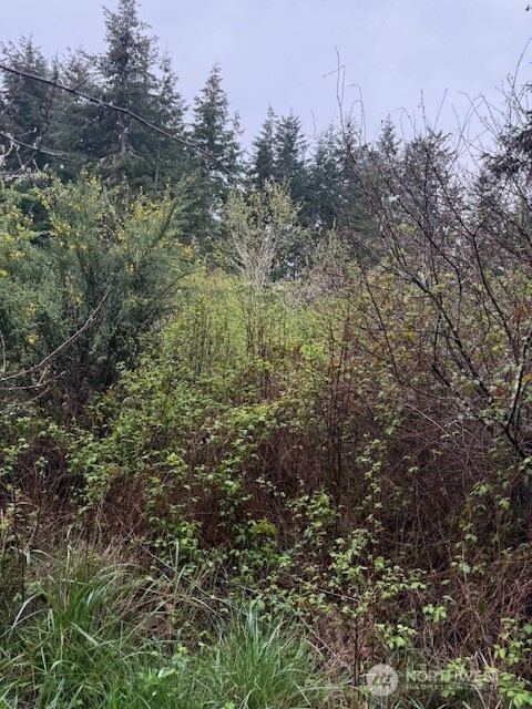 1 NKA Katherine Street Property Photo 1