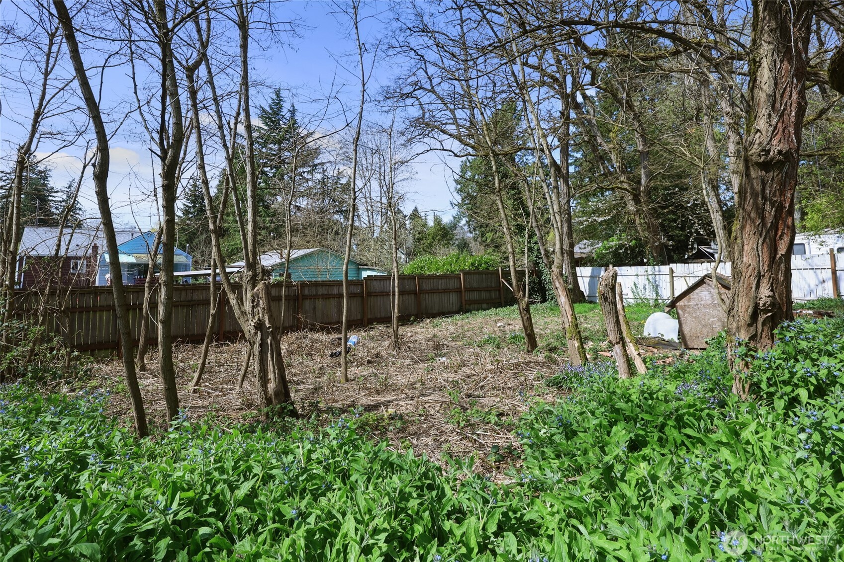 9906 Croft Street Property Photo 35