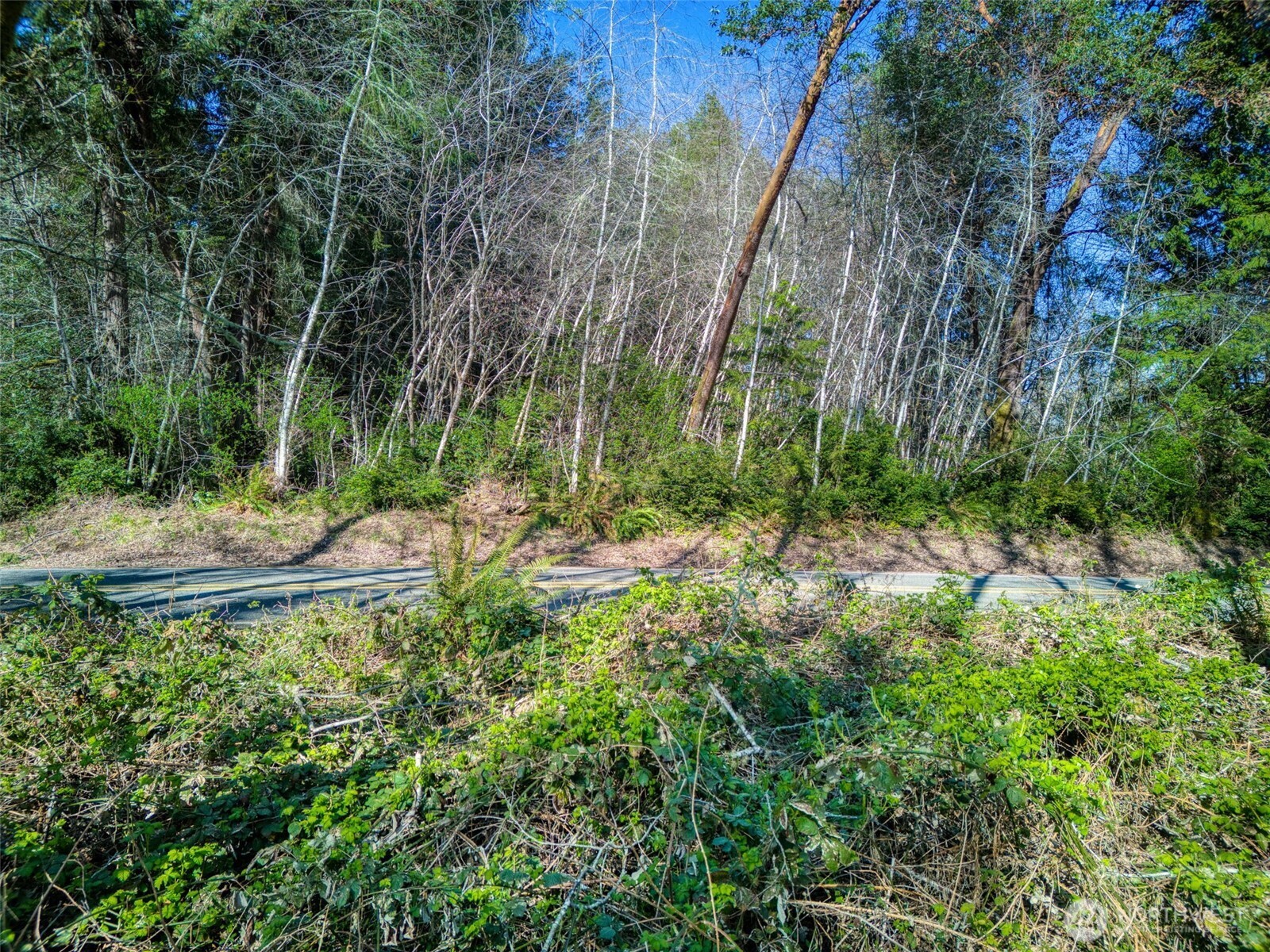 0 Whiteman Rd Property Photo 10