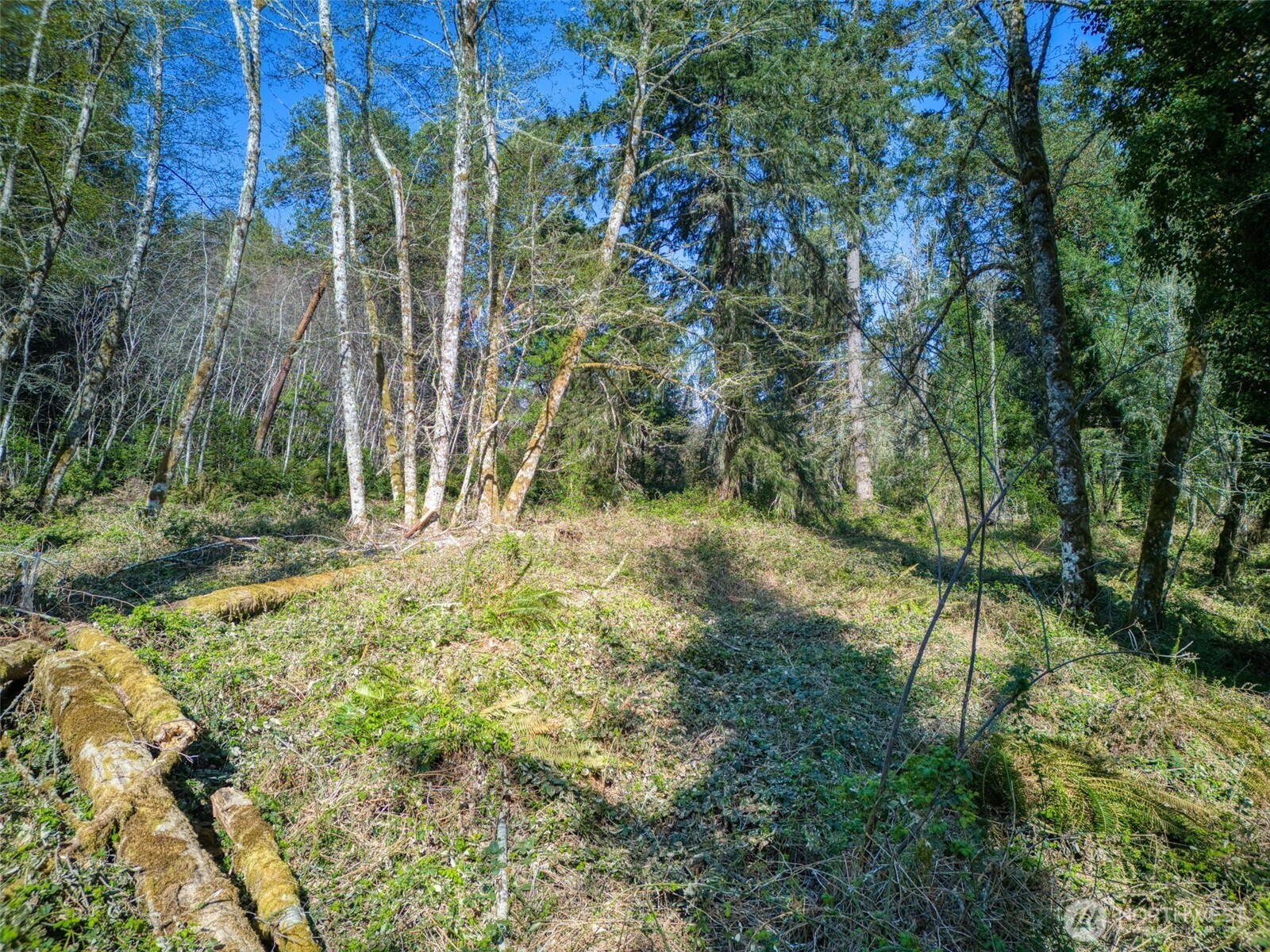 0 Whiteman Rd Property Photo 12