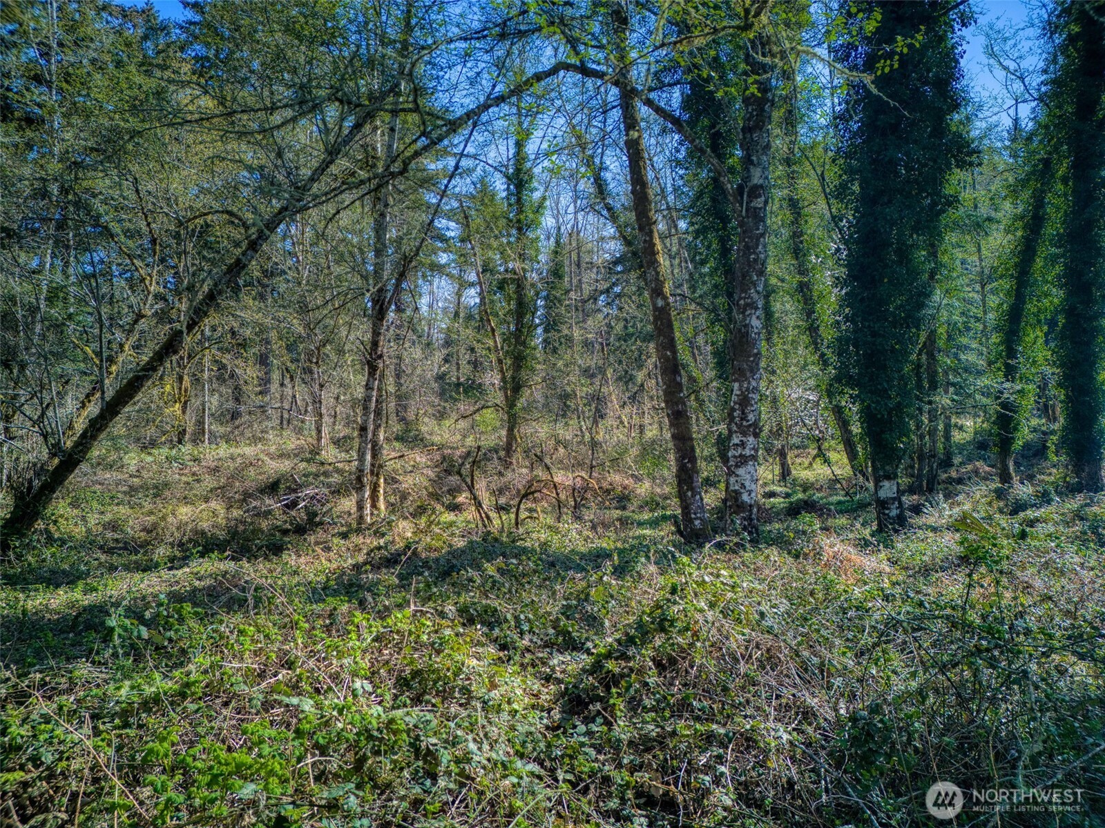 0 Whiteman Rd Property Photo 13