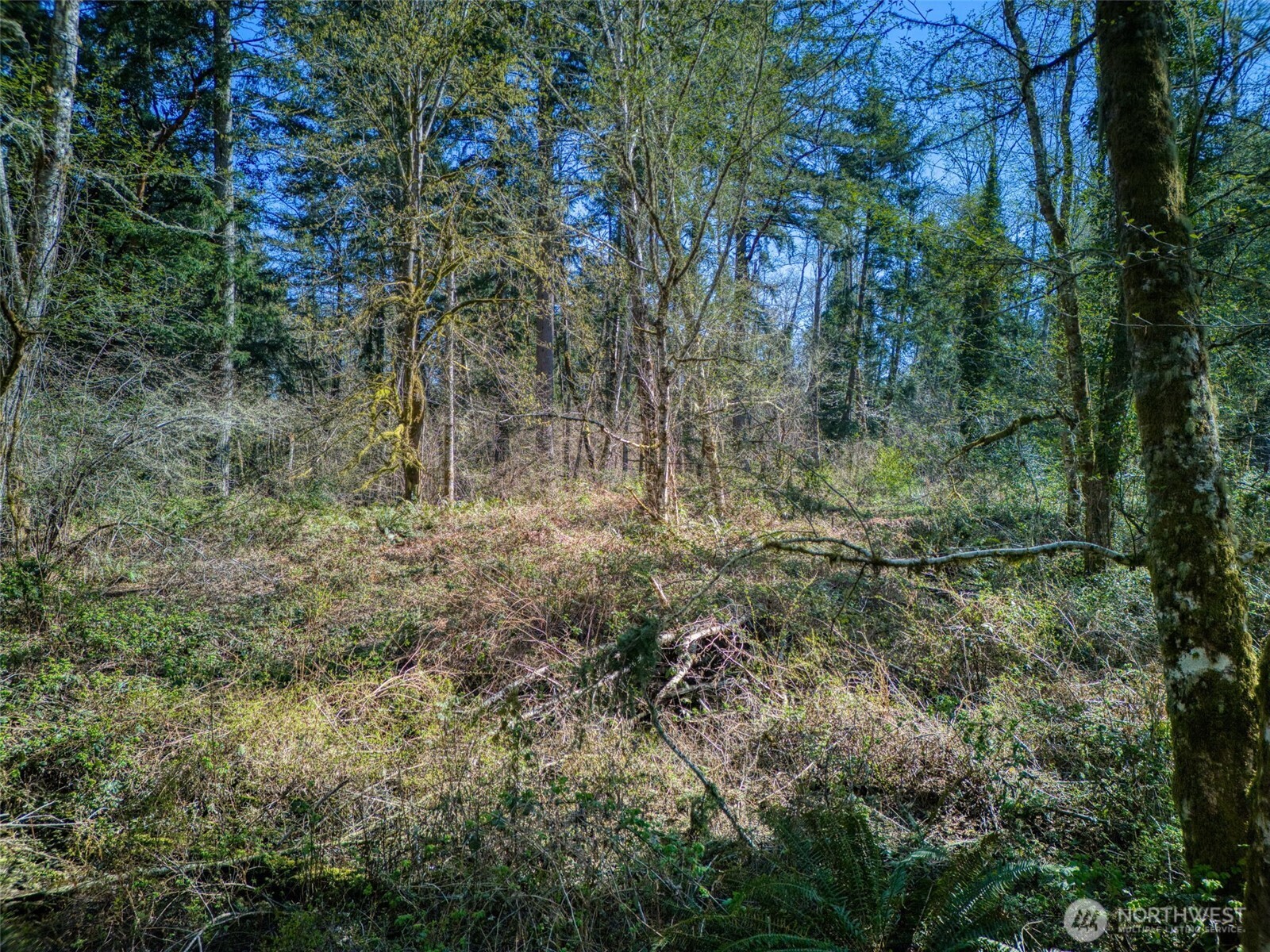 0 Whiteman Rd Property Photo 14