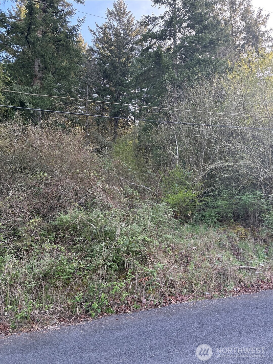 0 Ne Jefferson Street Property Photo 3