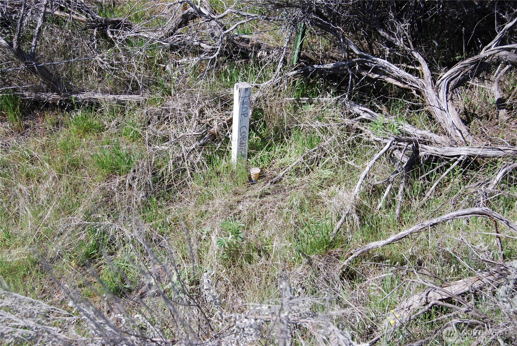 0 Lower White Road Property Photo 12
