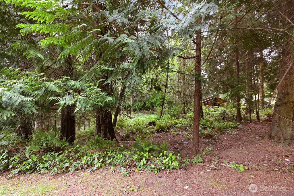 241 Belvedere Drive Property Photo 1