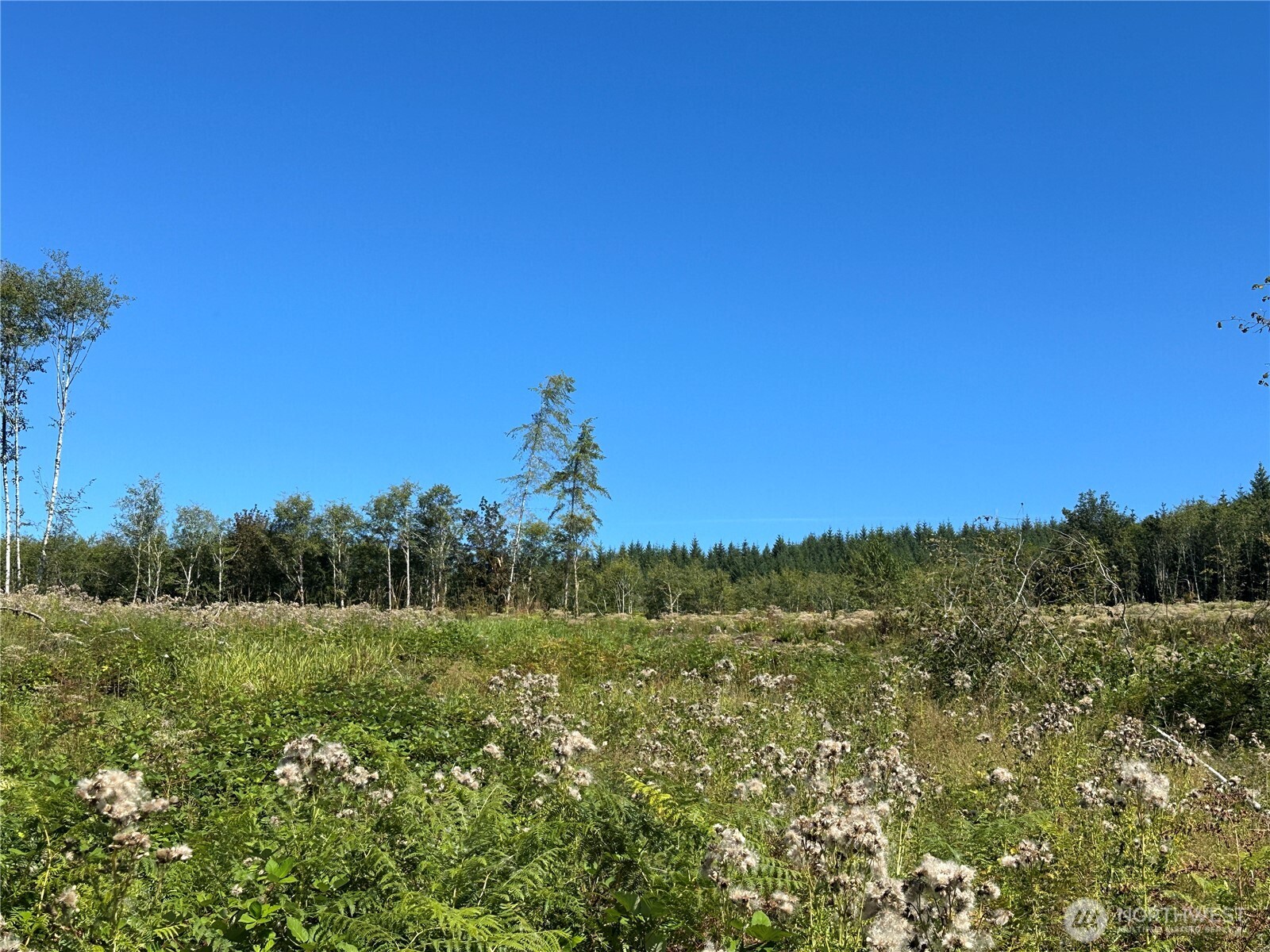 0 Cedar Creek Road Property Photo 2