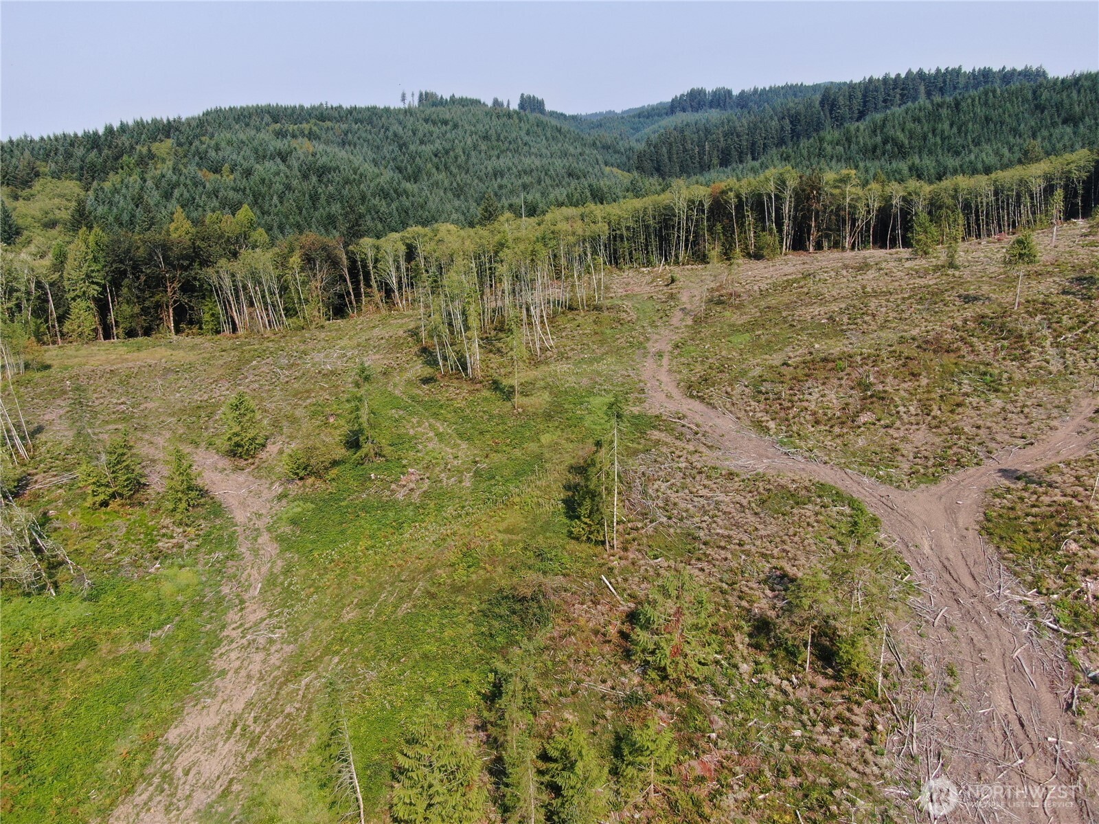 0 Cedar Creek Road Property Photo 4
