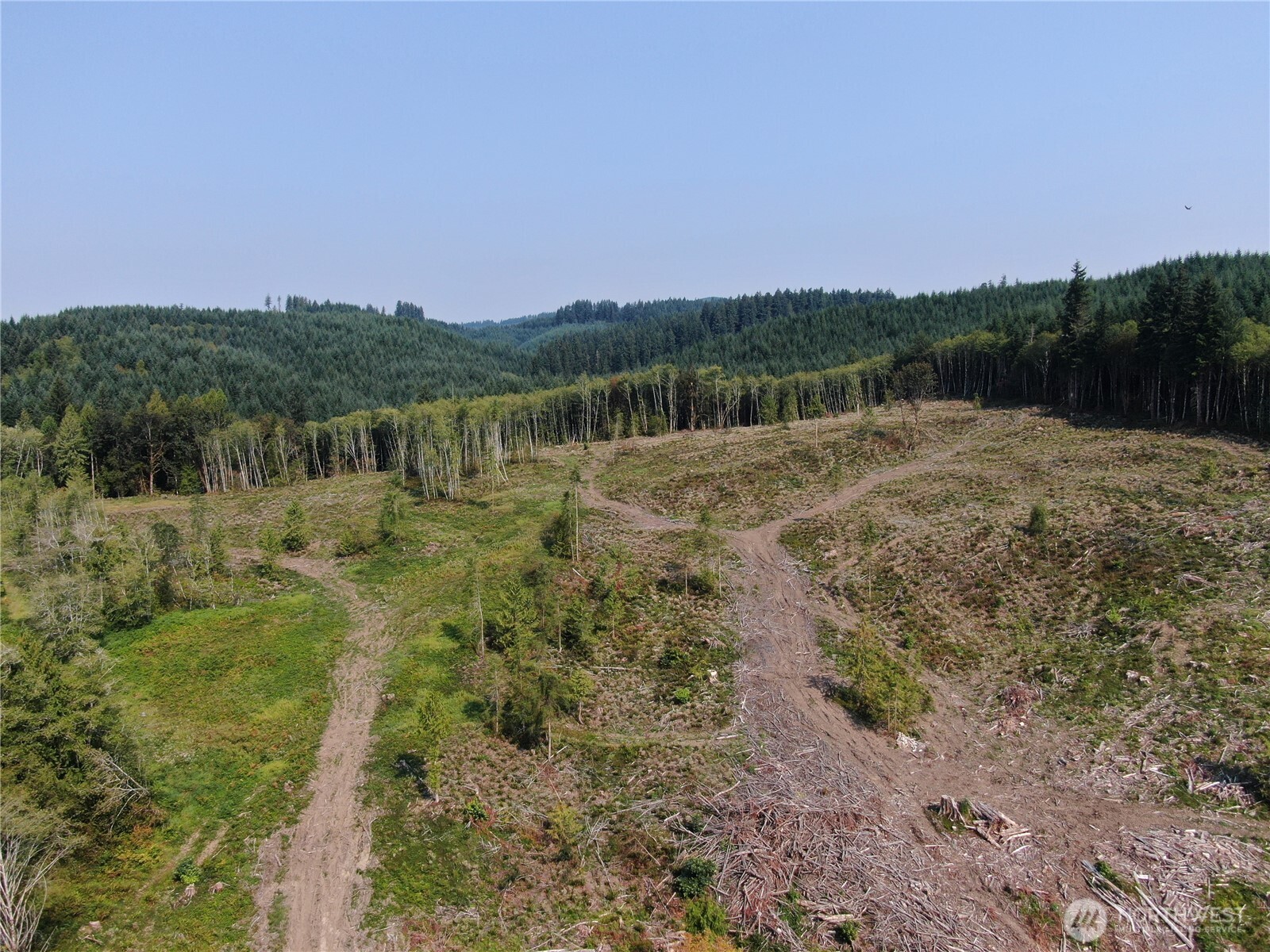0 Cedar Creek Road Property Photo 6