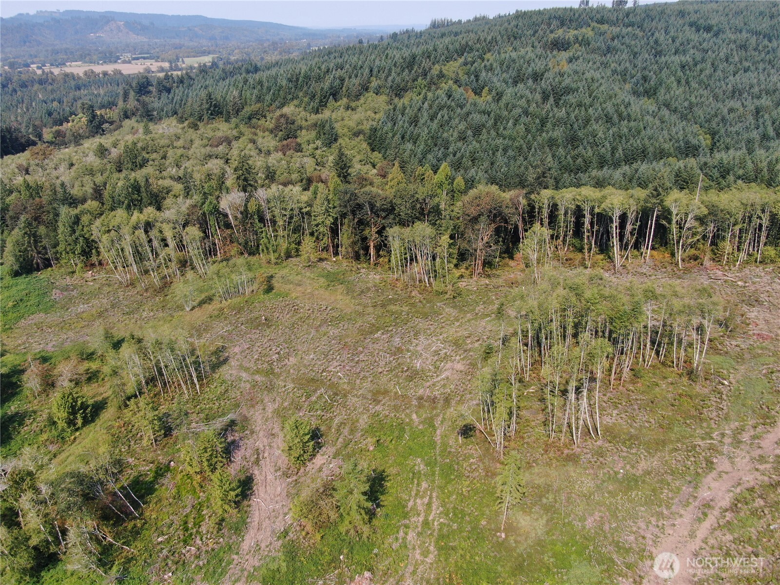 0 Cedar Creek Road Property Photo 8