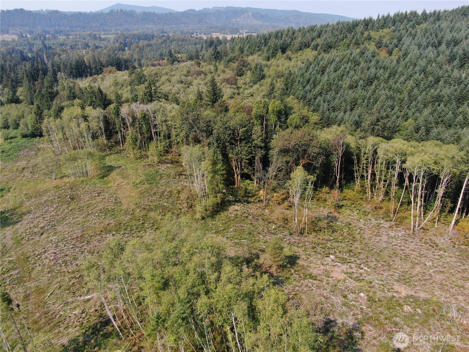 0 Cedar Creek Road Property Photo 12