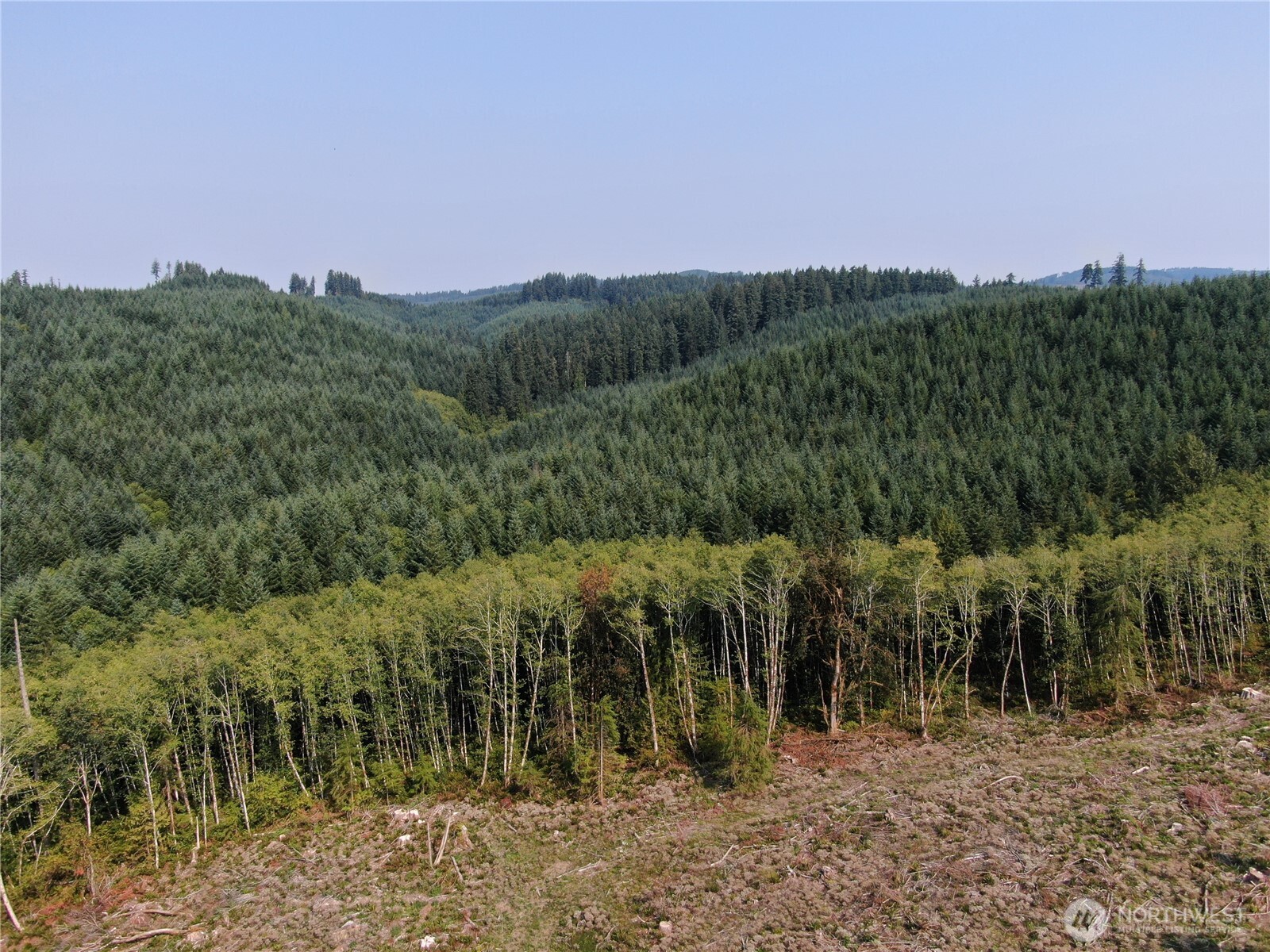 0 Cedar Creek Road Property Photo 15