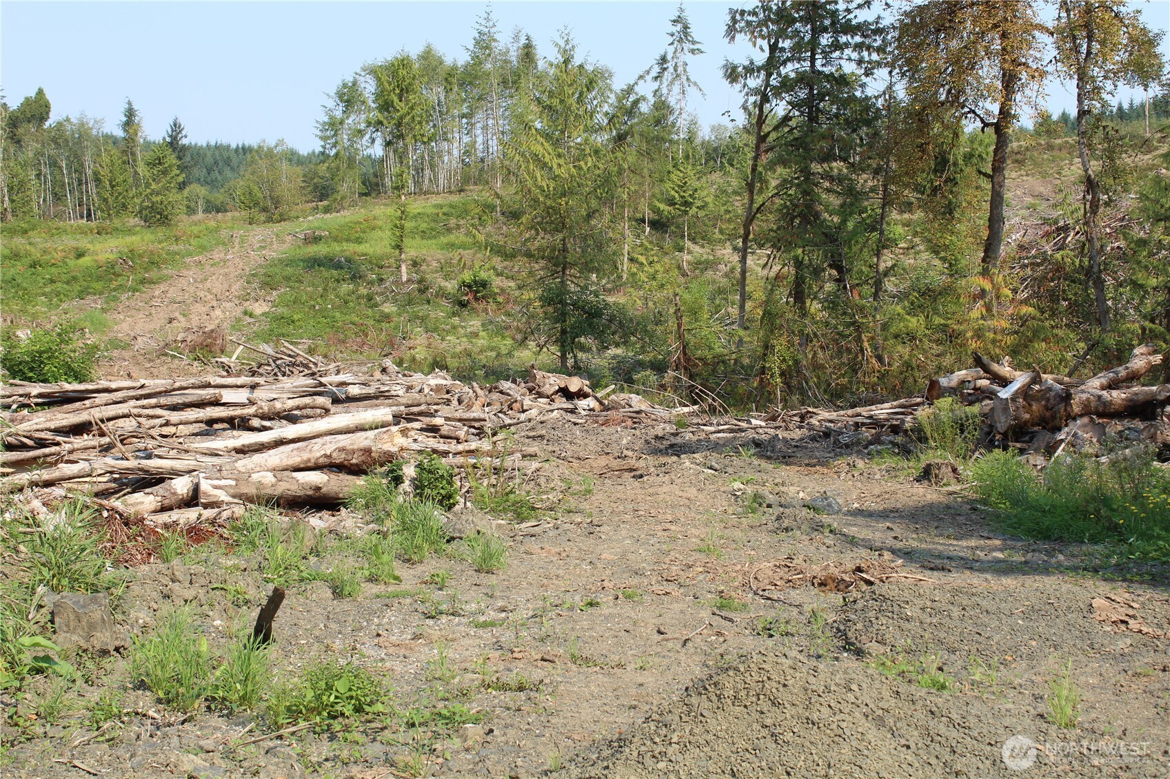 0 Cedar Creek Road Property Photo 22