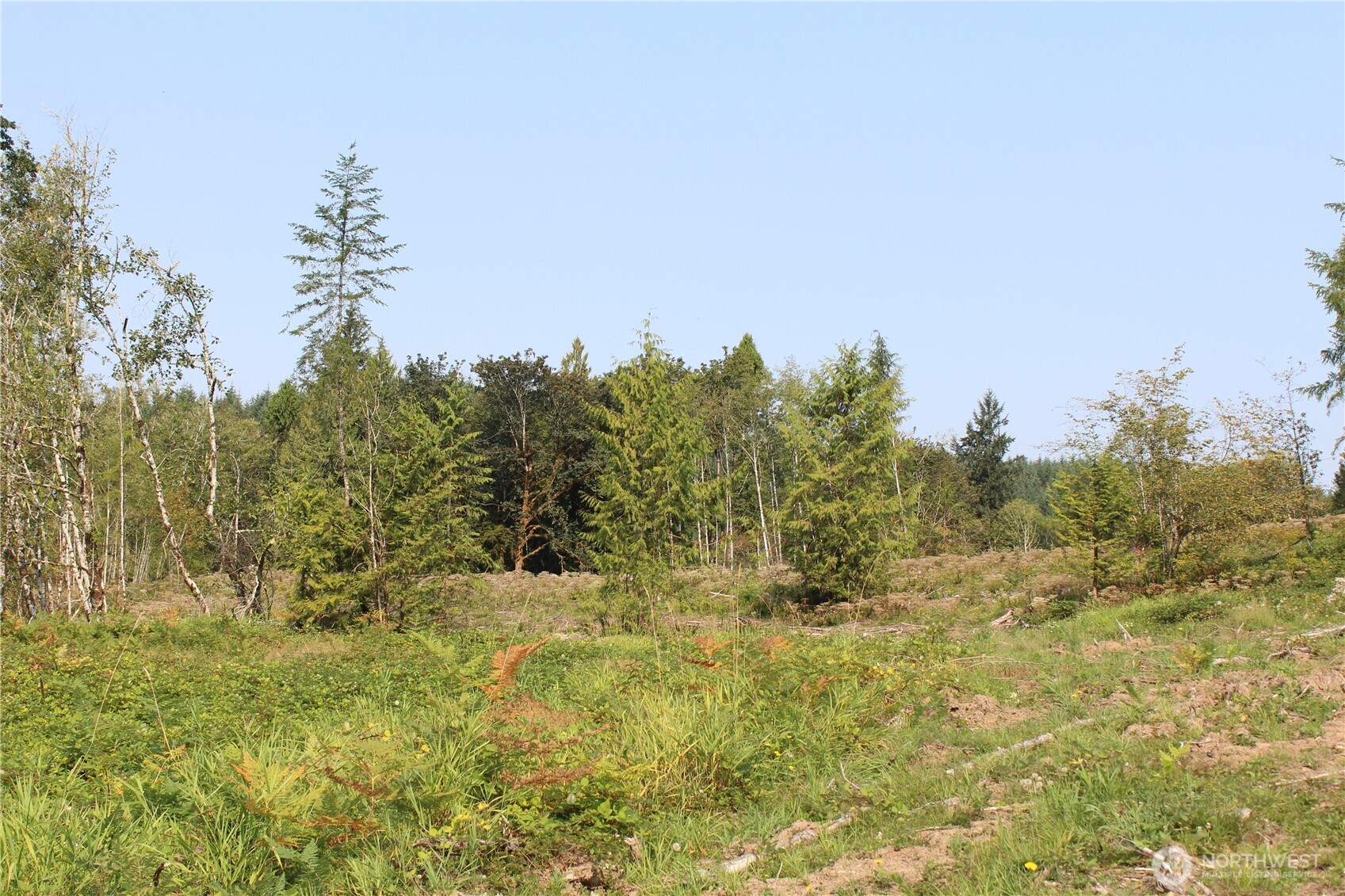 0 Cedar Creek Road Property Photo 25