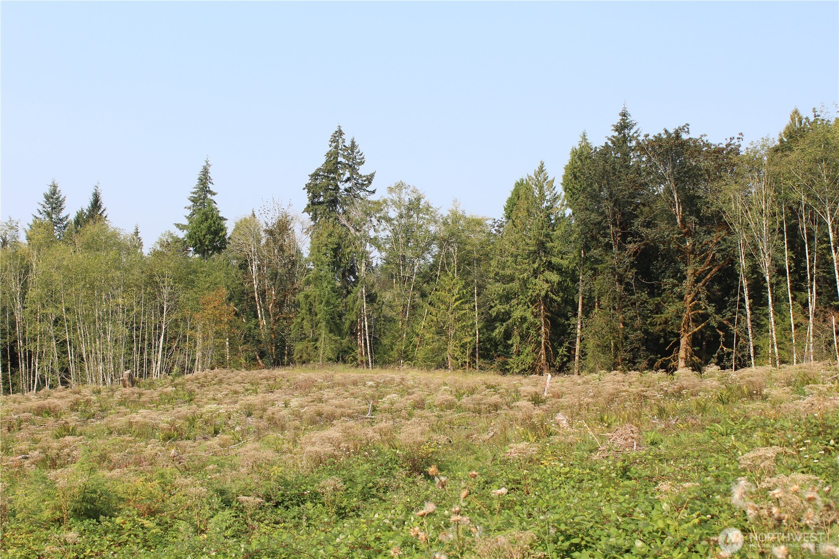 0 Cedar Creek Road Property Photo 26