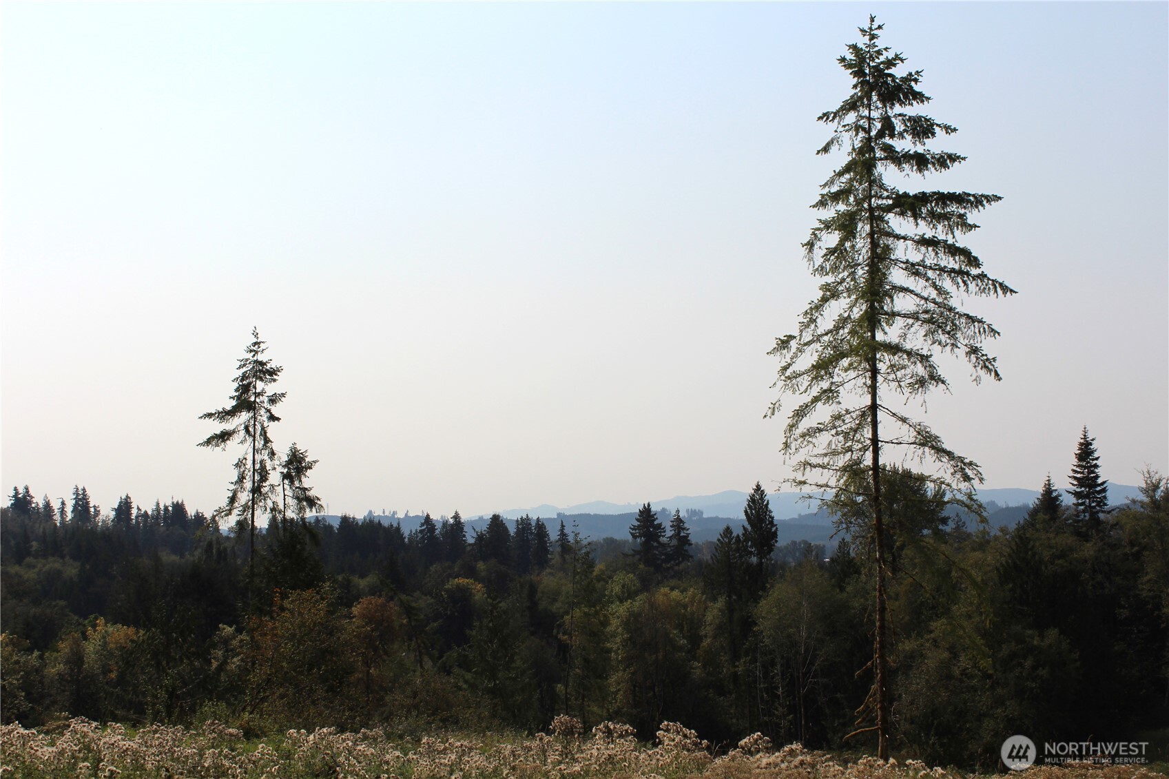 0 Cedar Creek Road Property Photo 32