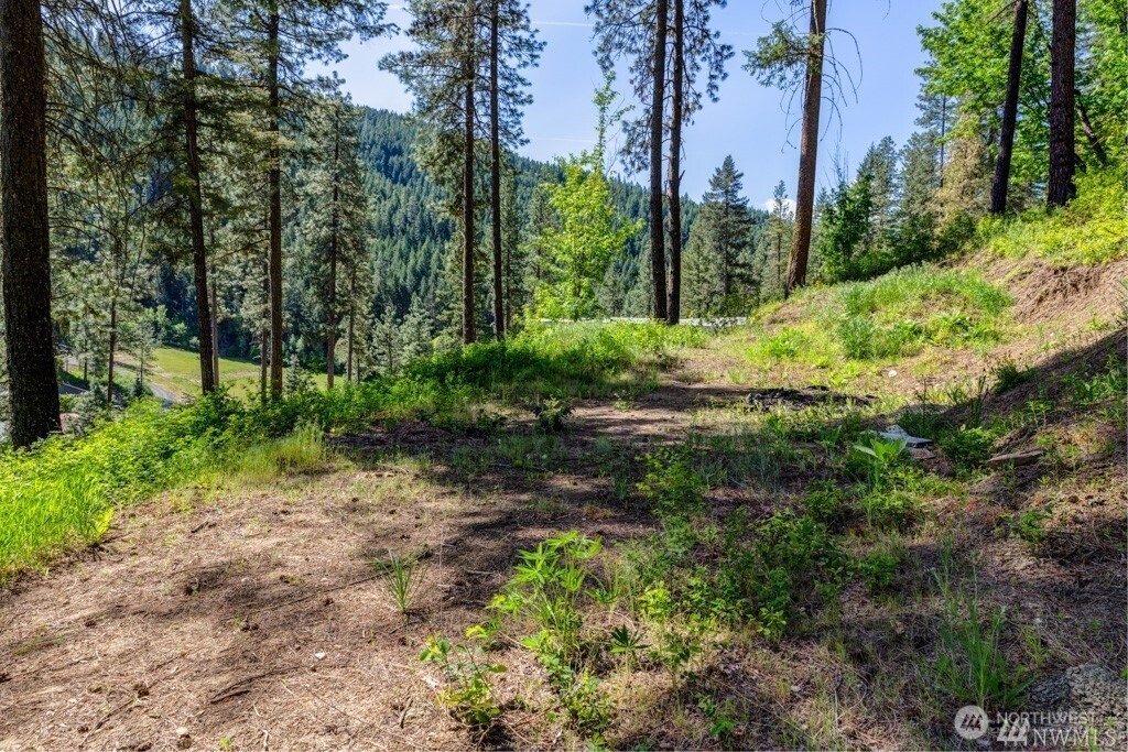 11200 Eagle Creek Road Property Photo 8