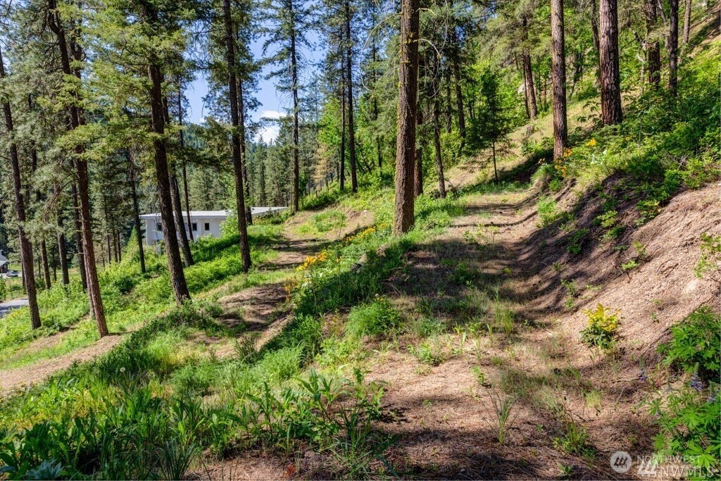 11200 Eagle Creek Road Property Photo 9
