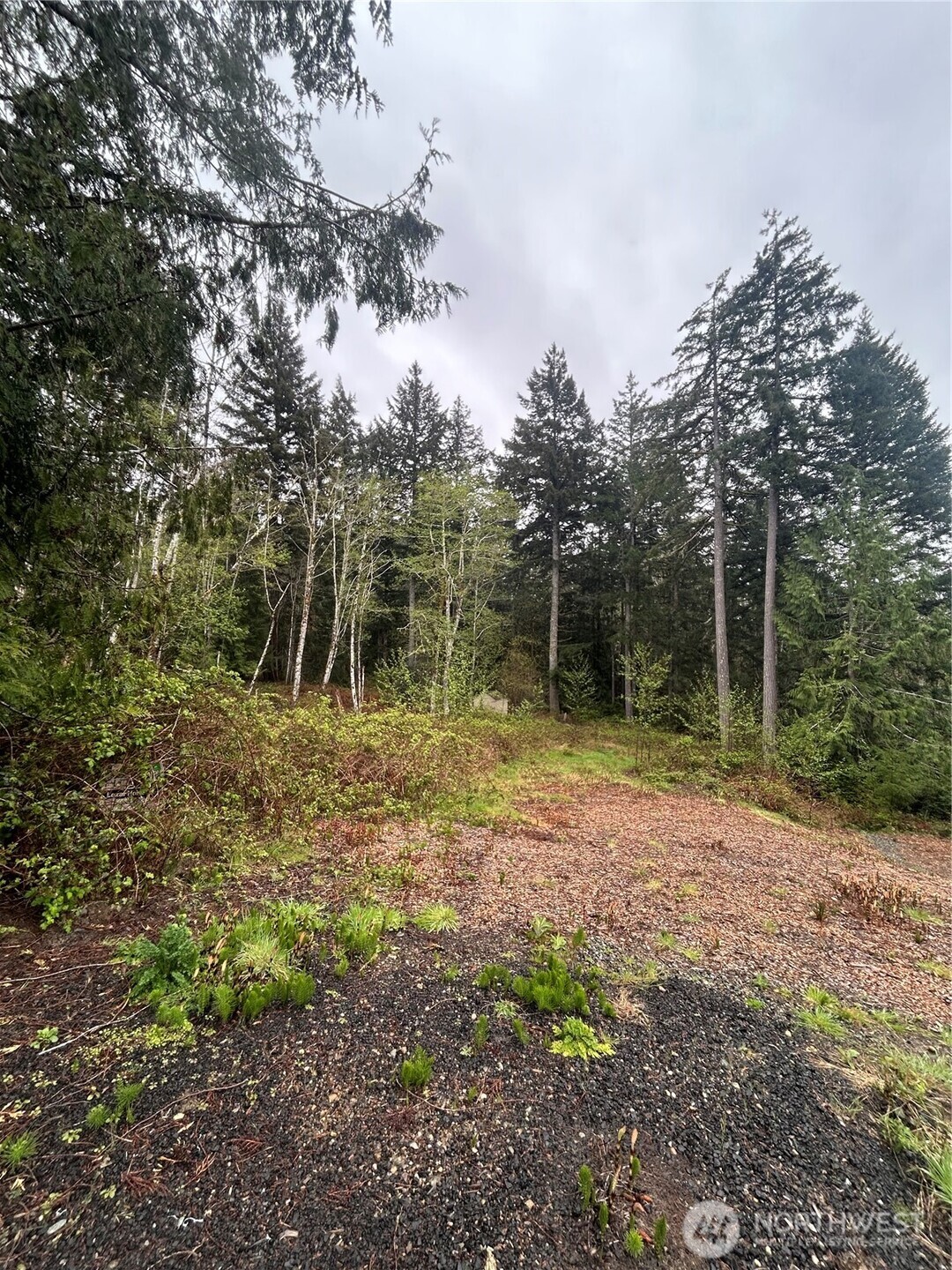 2201 Westwind Dr Nw Property Photo 6
