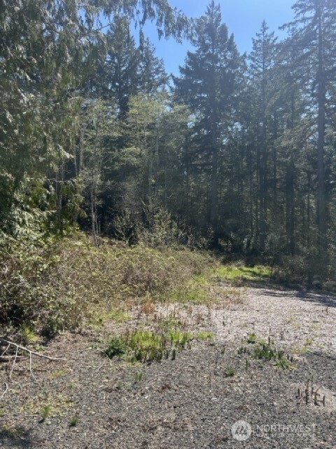 2201 Westwind Dr Nw Property Photo 7