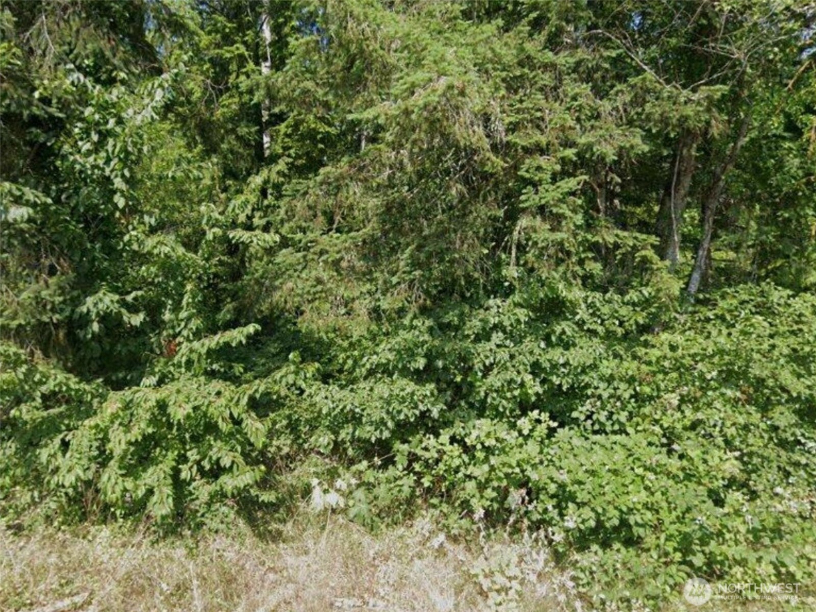 31 NE Burt Court Property Photo 1