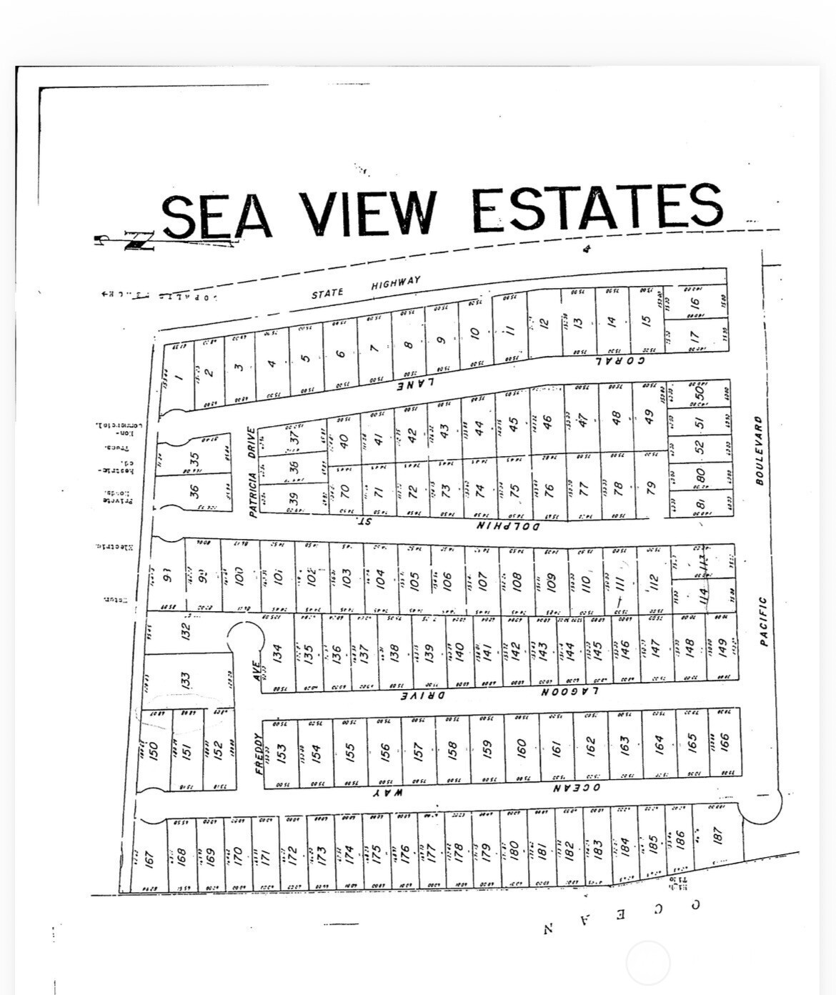 39 Dolphin Ln. Property Photo 22