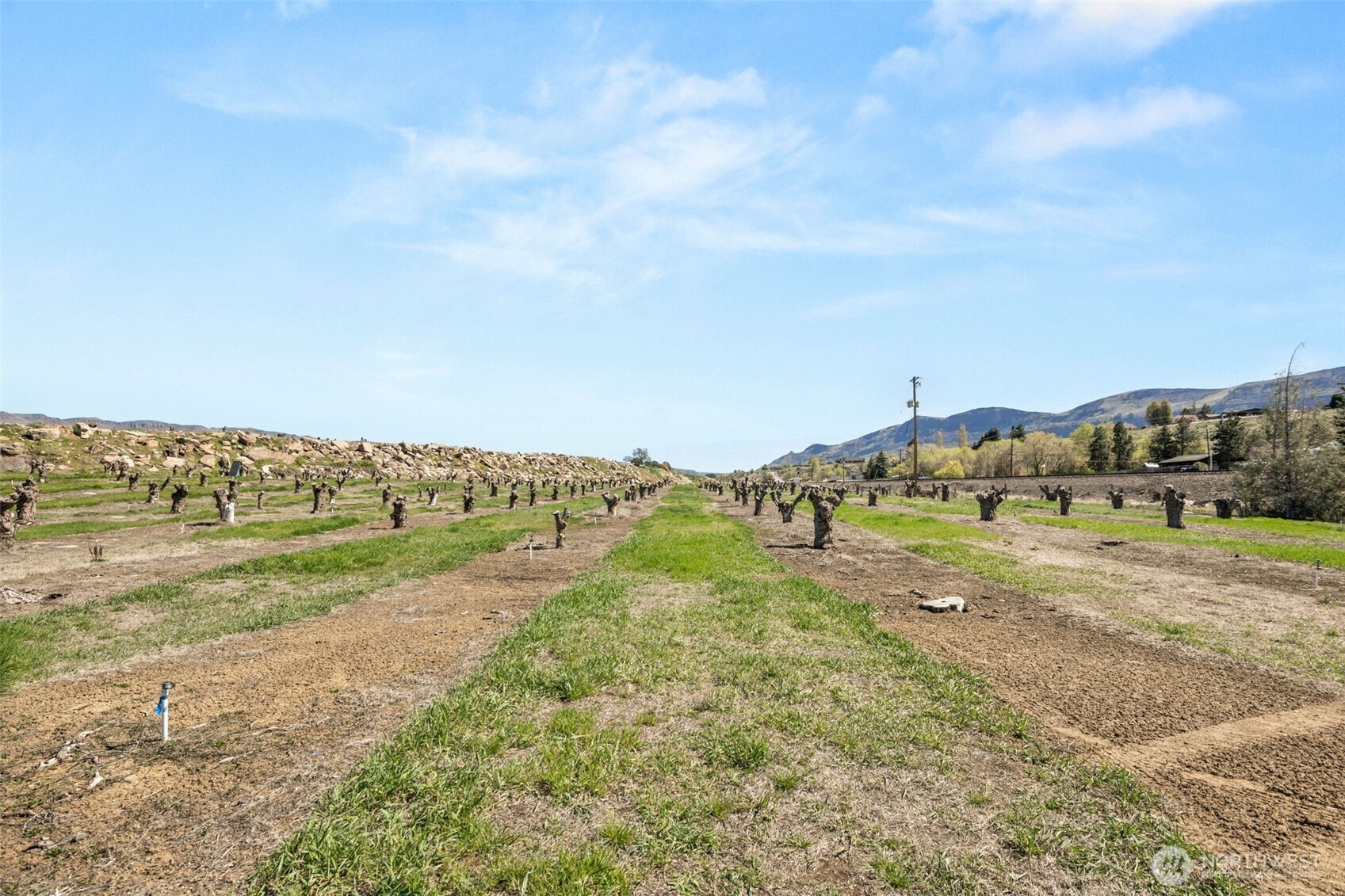 2988 Malaga Alcoa Highway Property Photo 8