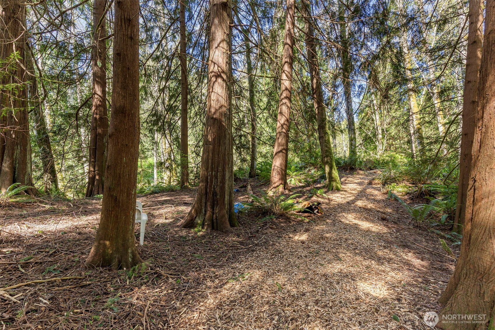 37060 Madrona Boulevard Property Photo 2