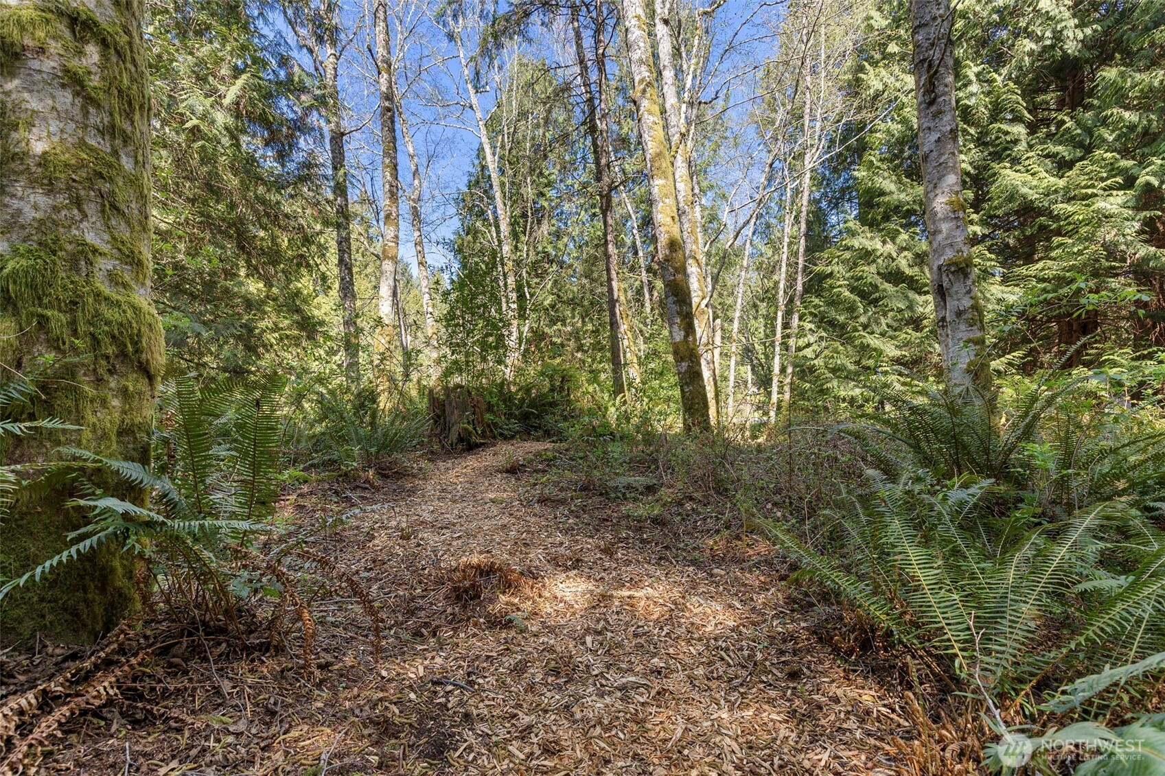 37060 Madrona Boulevard Property Photo 4