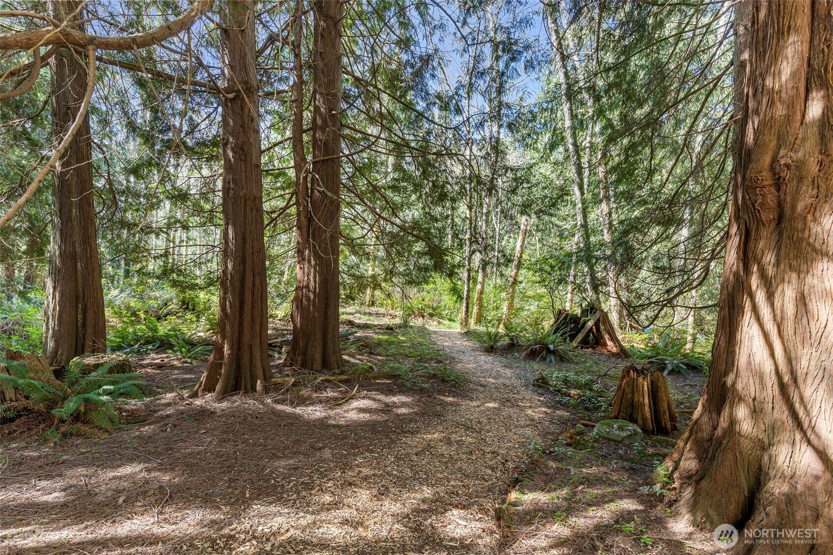 37060 Madrona Boulevard Property Photo 5