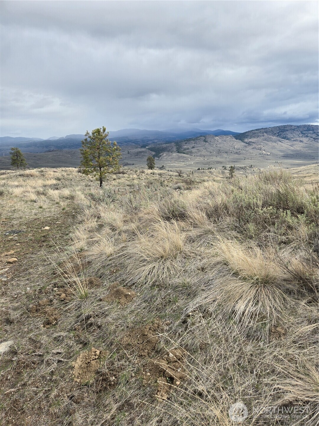 0 Tbd Twin Springs Road Property Photo 2