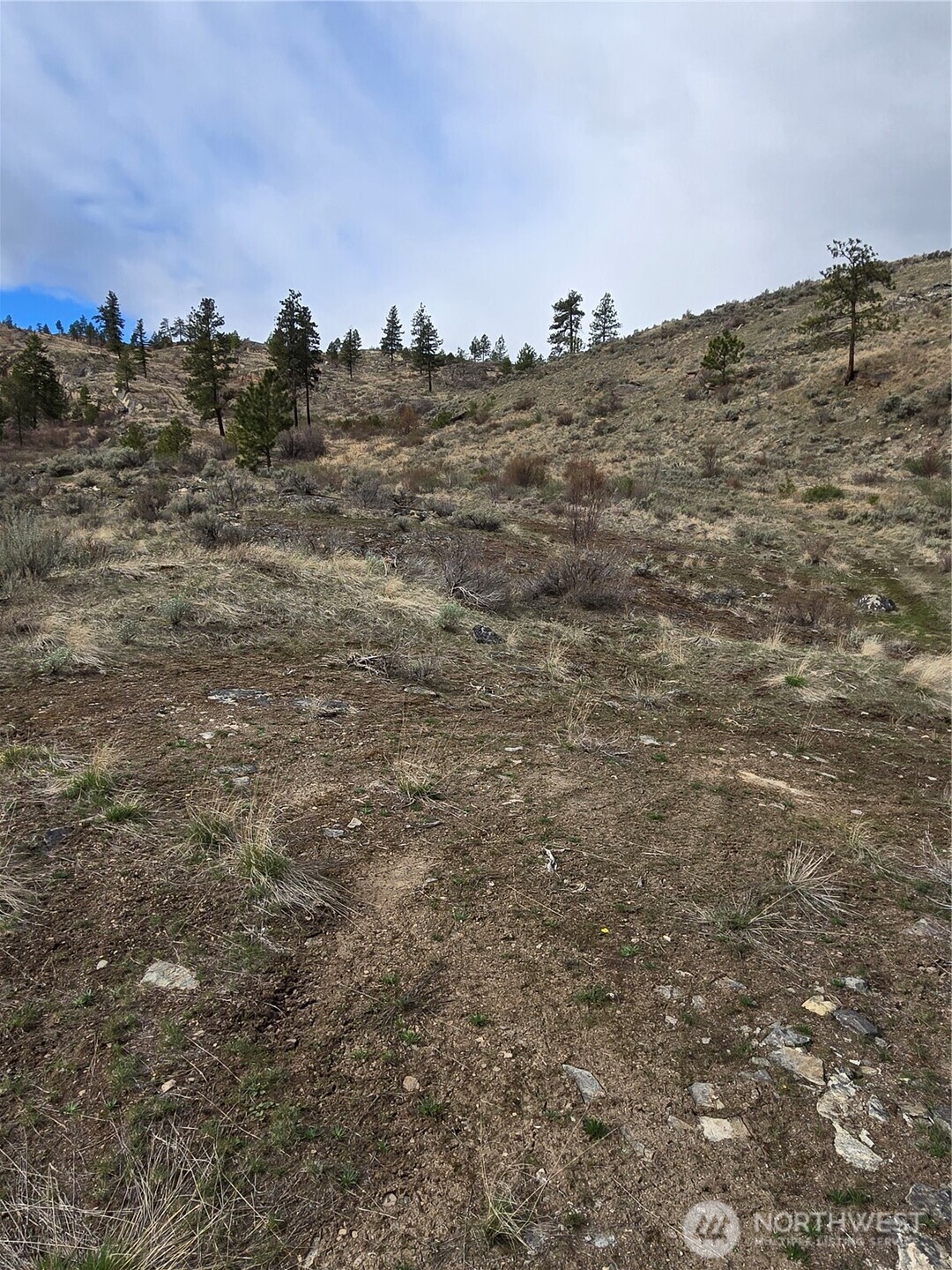 0 Tbd Twin Springs Road Property Photo 3