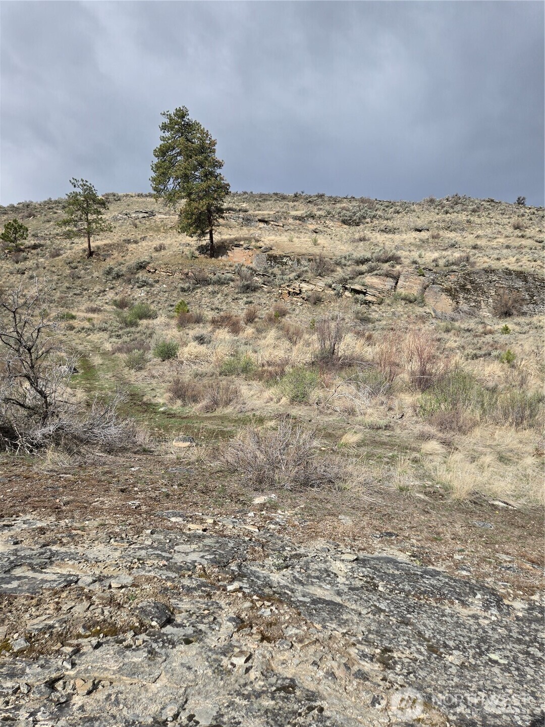 0 Tbd Twin Springs Road Property Photo 5