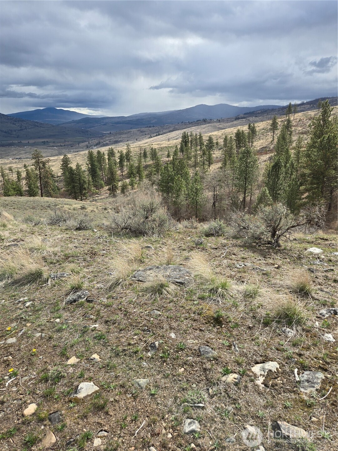 0 Tbd Twin Springs Road Property Photo 6