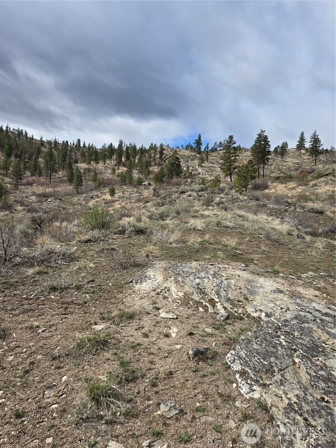 0 Tbd Twin Springs Road Property Photo 8