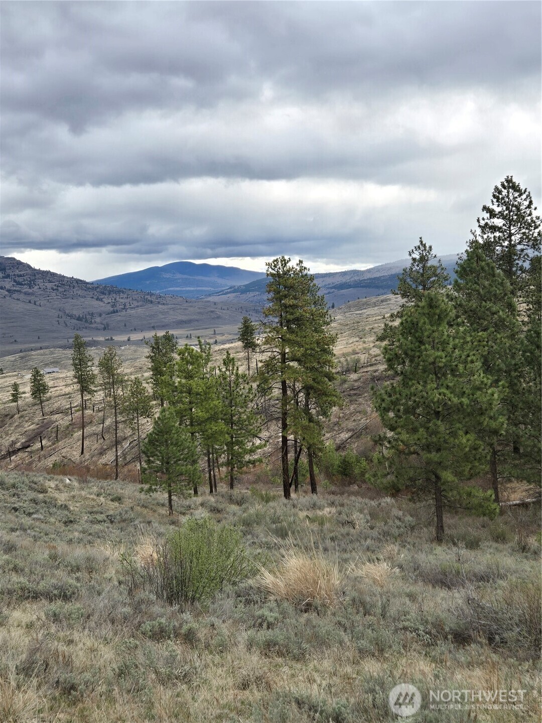 0 Tbd Twin Springs Road Property Photo 9