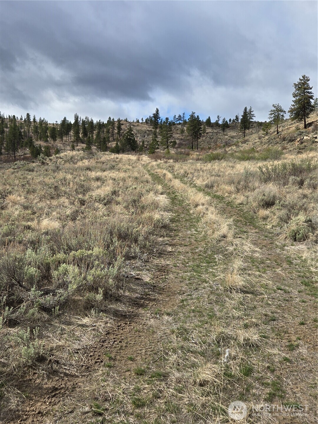 0 Tbd Twin Springs Road Property Photo 10