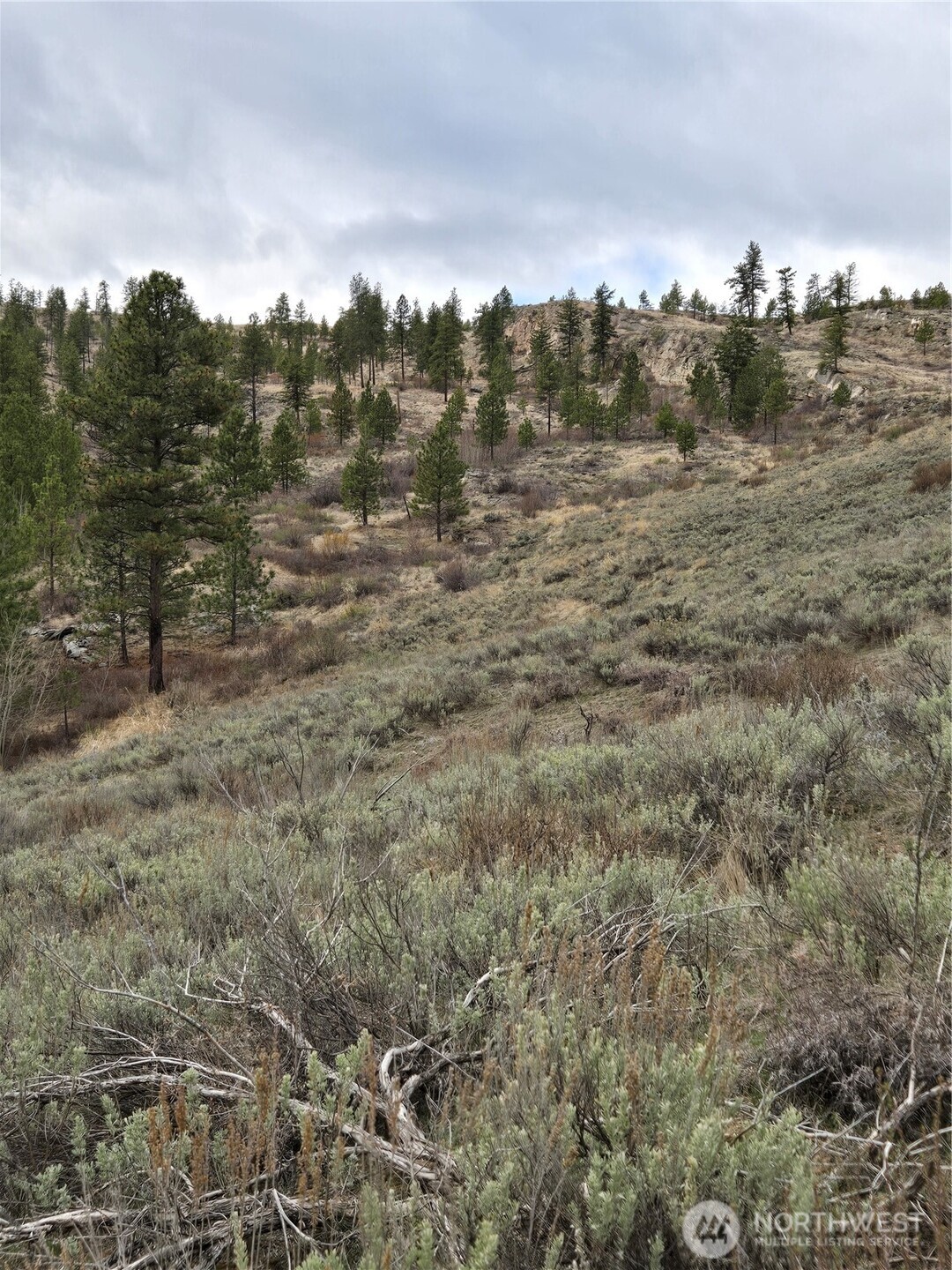 0 Tbd Twin Springs Road Property Photo 11