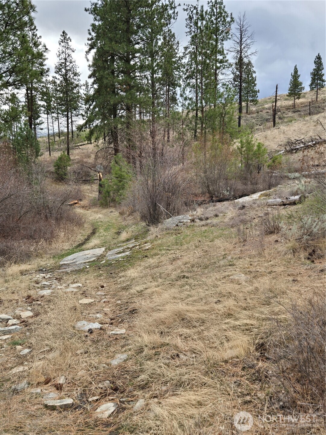 0 Tbd Twin Springs Road Property Photo 14