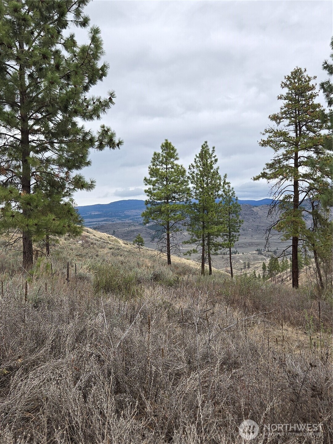 0 Tbd Twin Springs Road Property Photo 15