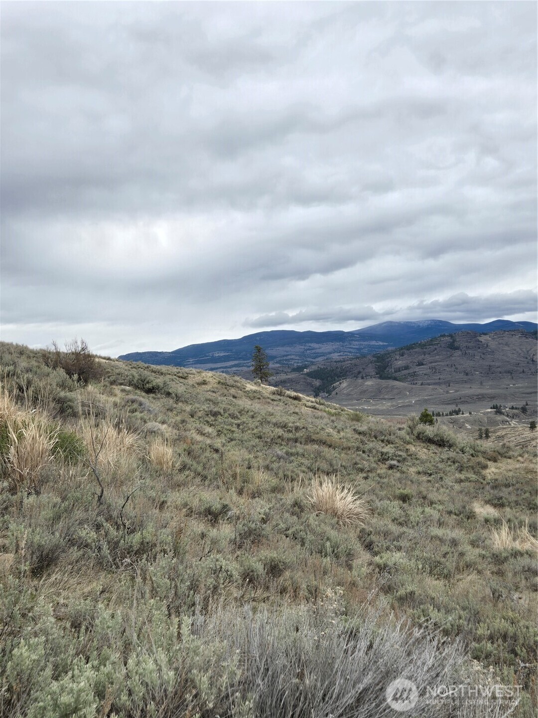 0 Tbd Twin Springs Road Property Photo 16