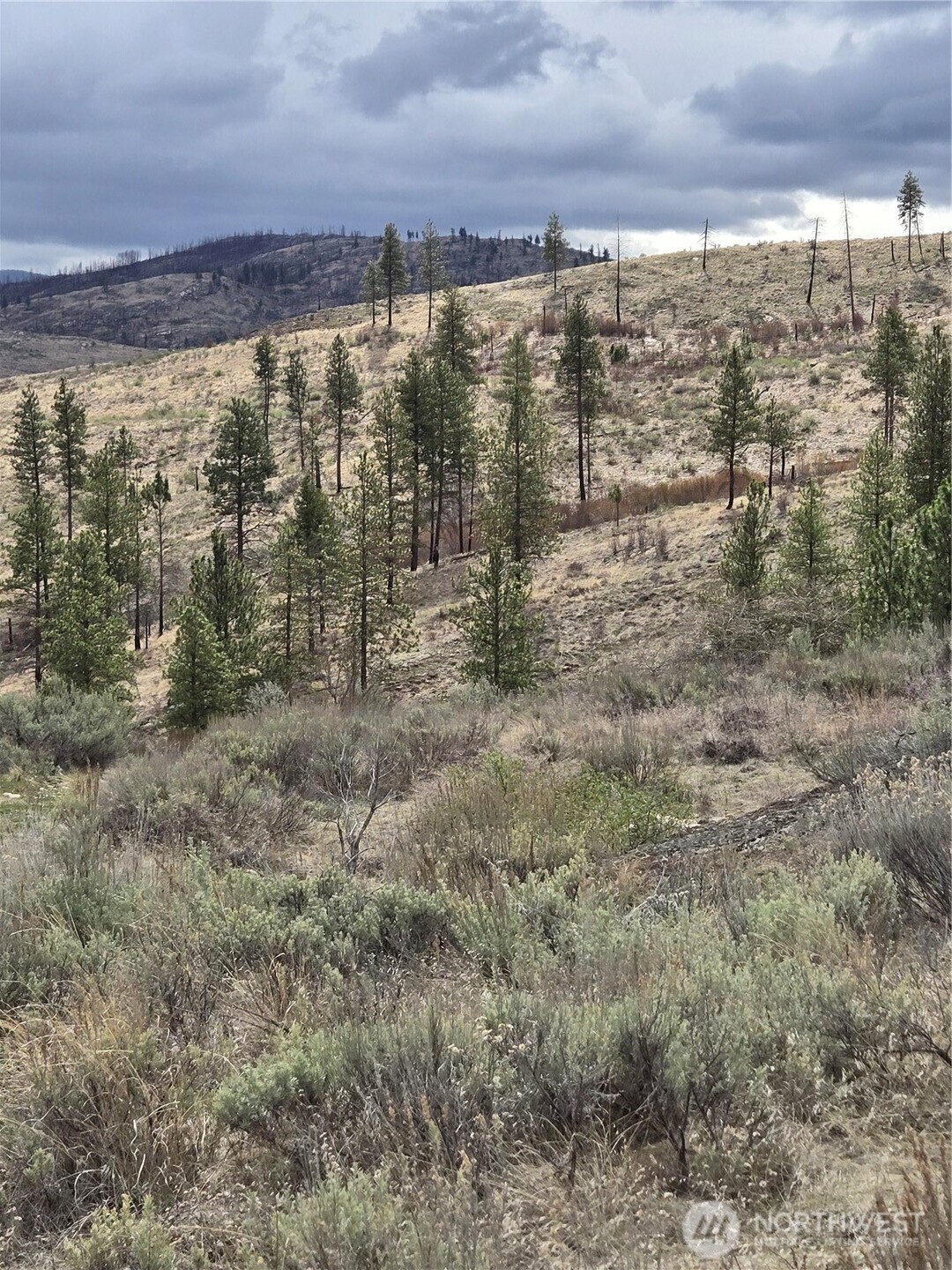 0 Tbd Twin Springs Road Property Photo 17