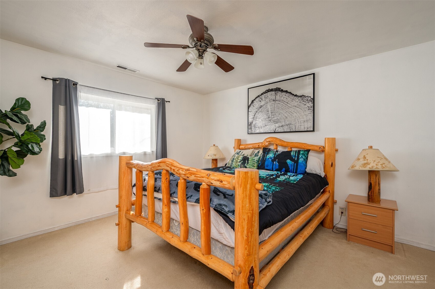 137 Aden Street Property Photo 18