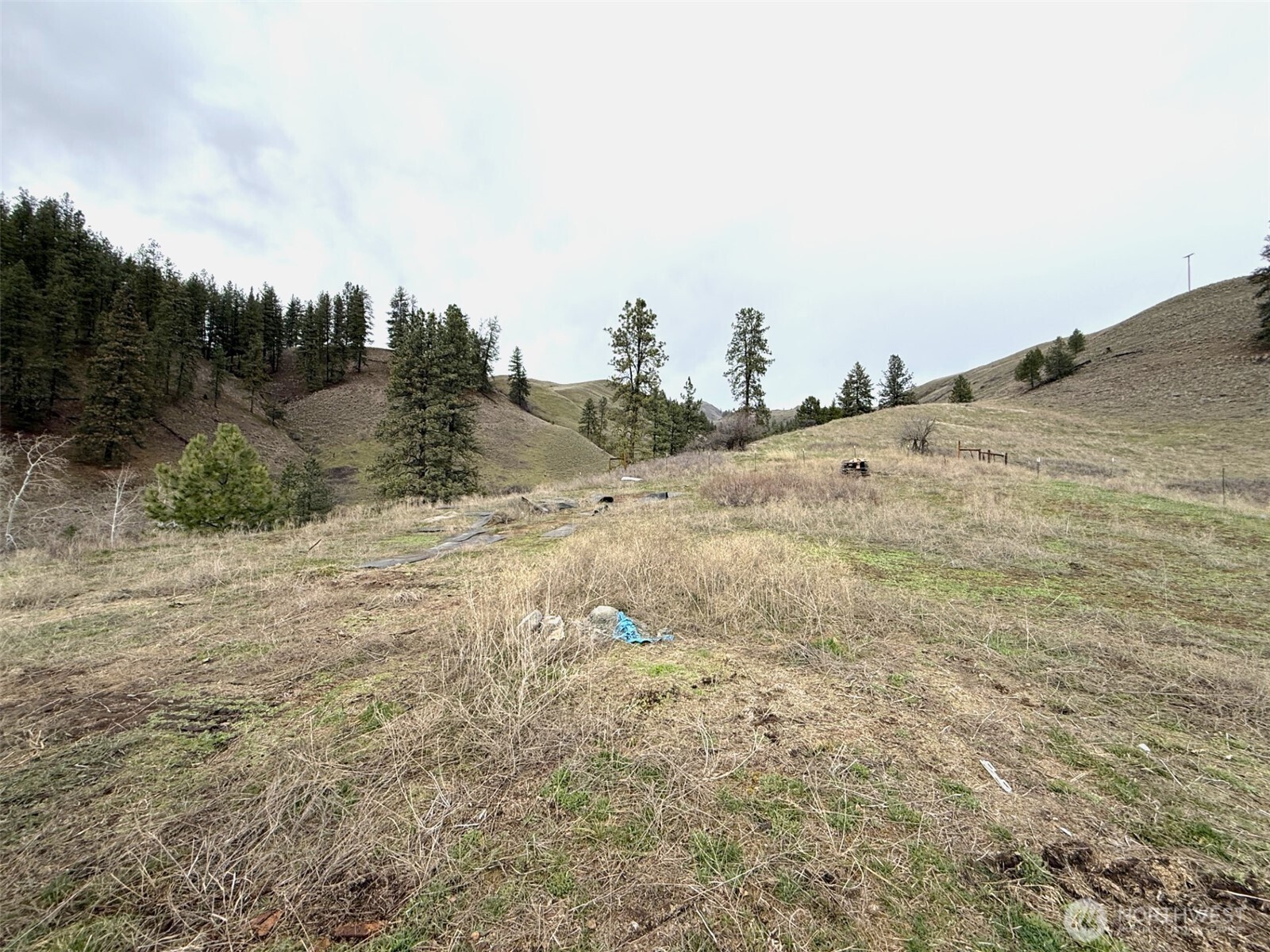 0 Tbd Cottonwood Creek Road Property Photo 16