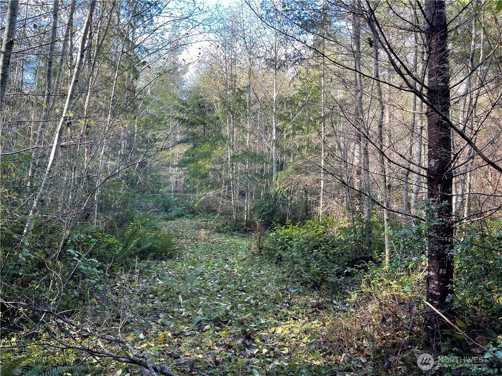 50 X Point Whitney Road Property Photo 18