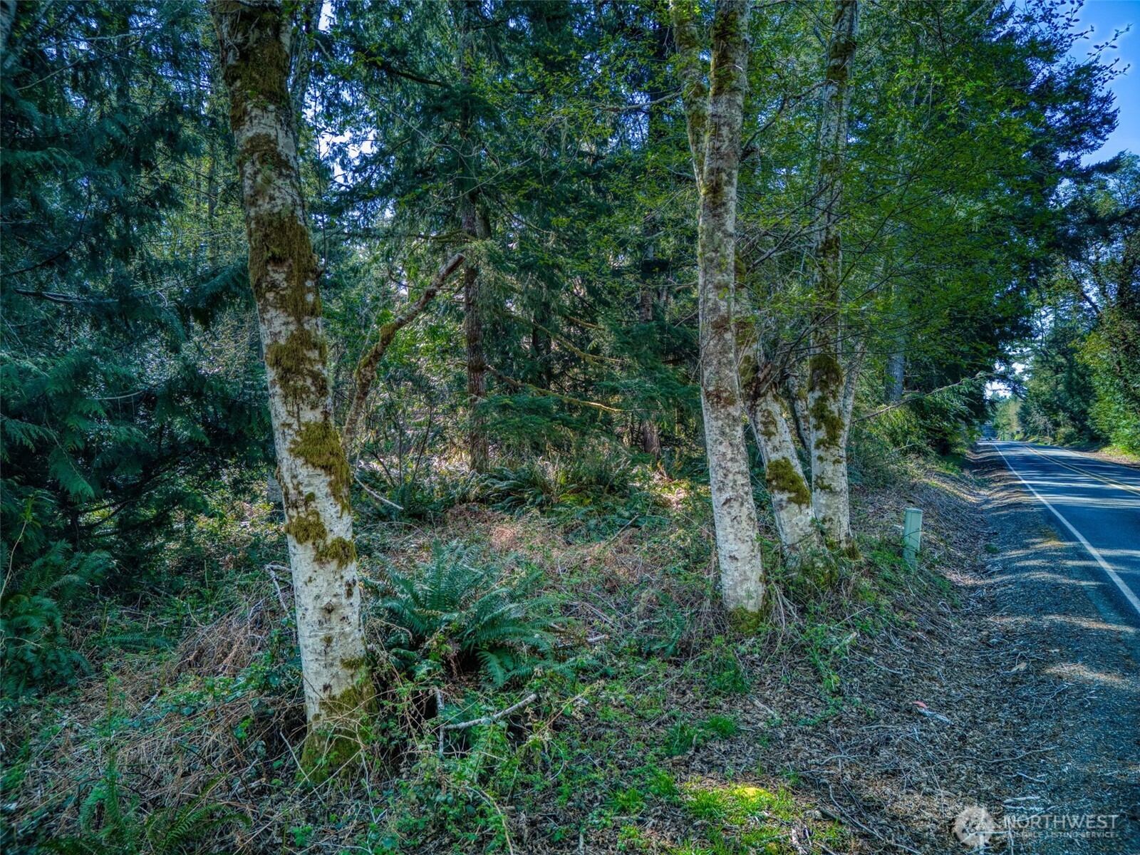 0 Whiteman Road Property Photo 7