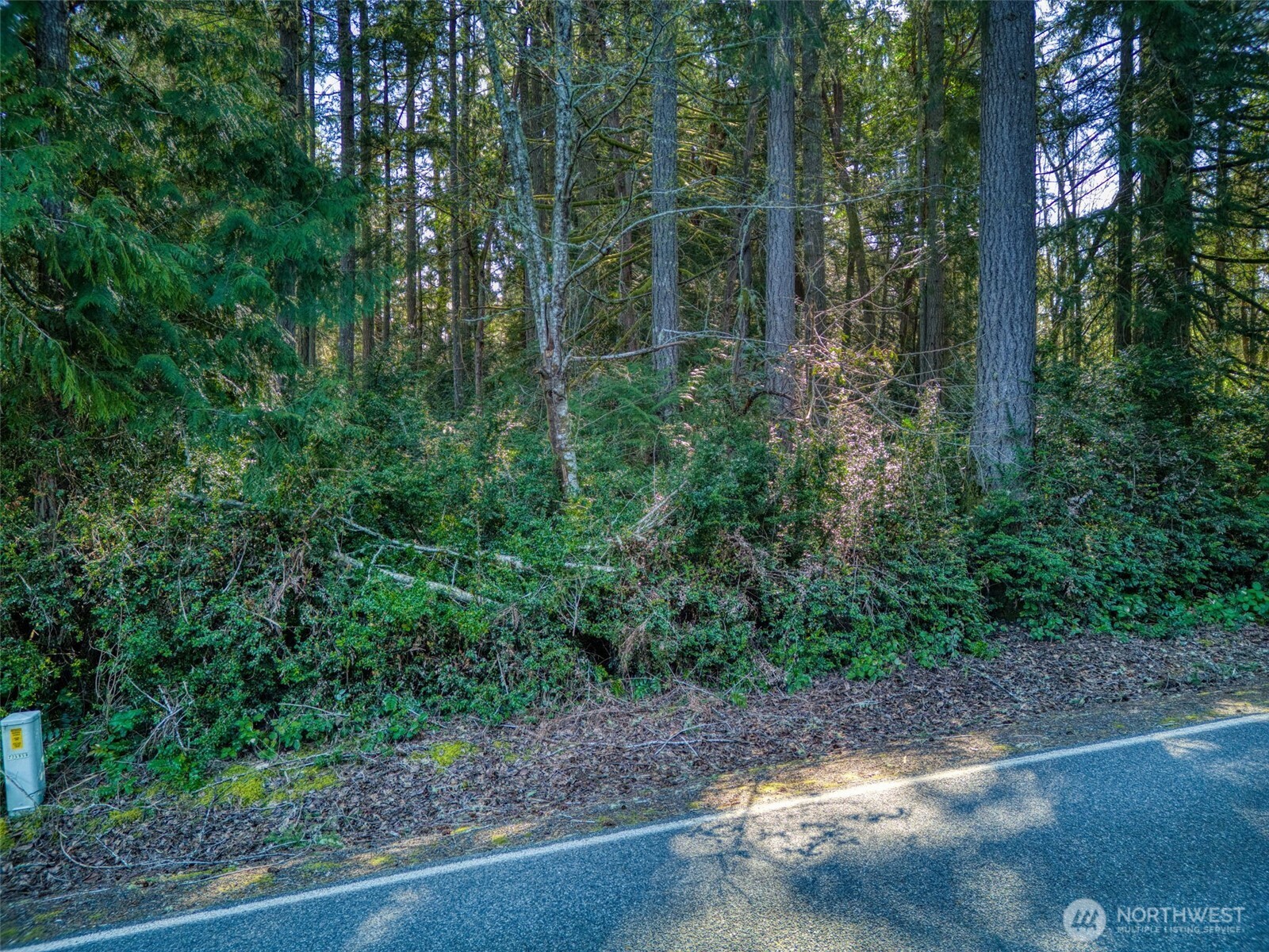 0 Whiteman Road Property Photo 8