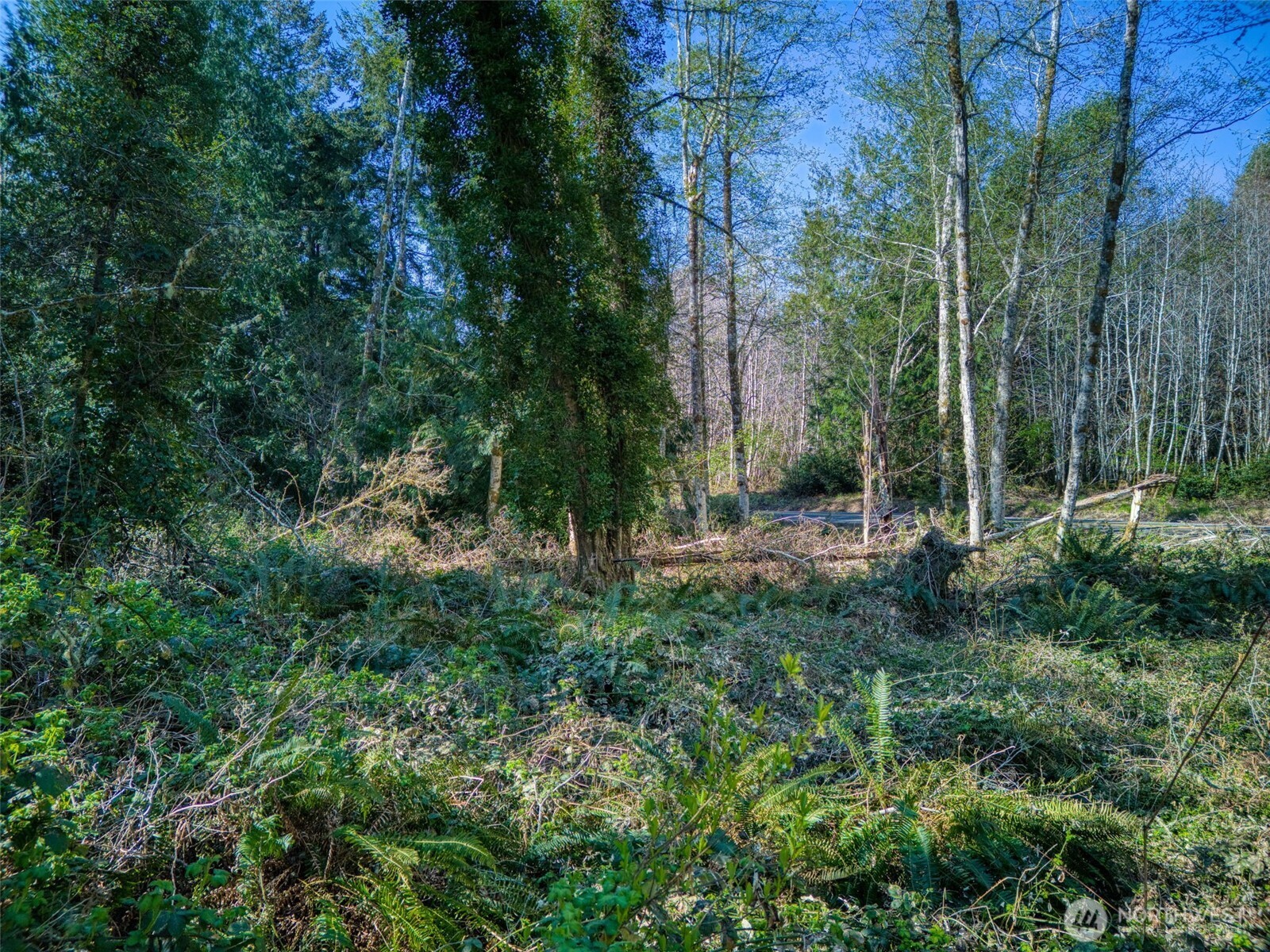 0 Whiteman Road Property Photo 9
