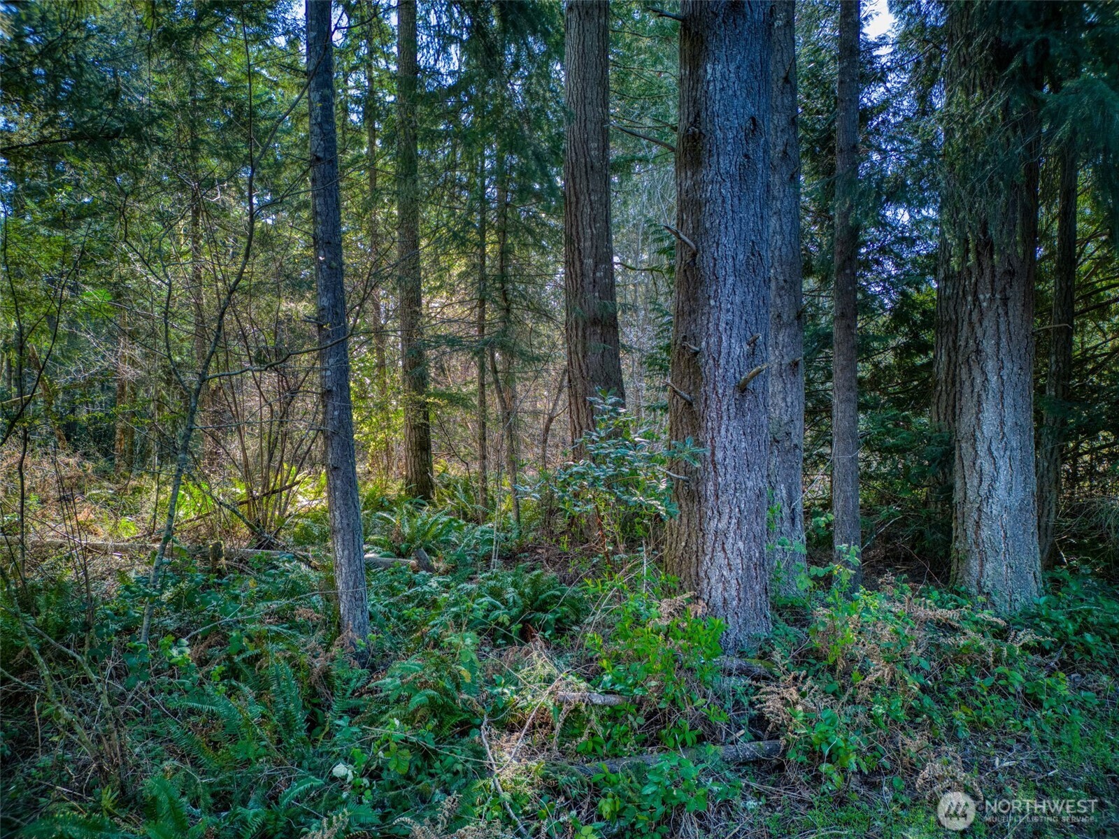 0 Whiteman Road Property Photo 13