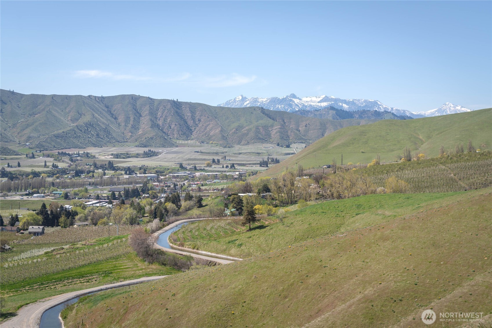 519 Diede Hills Lane Property Photo 15